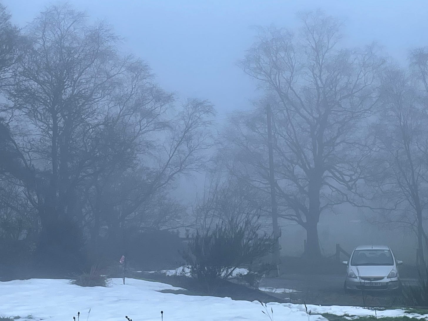 A pale car parked behind a snowy field, with foggy trees beyond