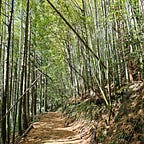 Capital Flows and Asset Markets