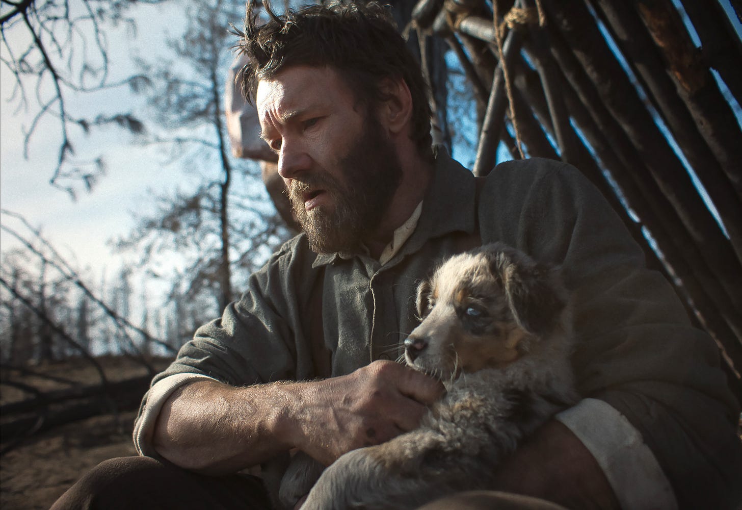 train dreams joel edgerton