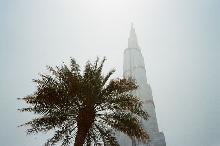 This may contain: a palm tree in front of the burj tower on a foggy day This may contain: a palm tree in front of the burj tower on a foggy day