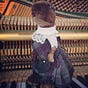 SD Taylor's avatar