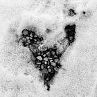 Valentines and ashes: A memory and a blessing