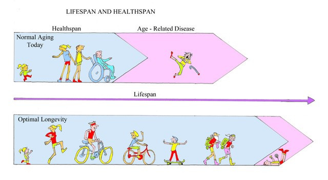 HEALTHSPAN VERSUS LIFESPAN - Cardiac Rehab