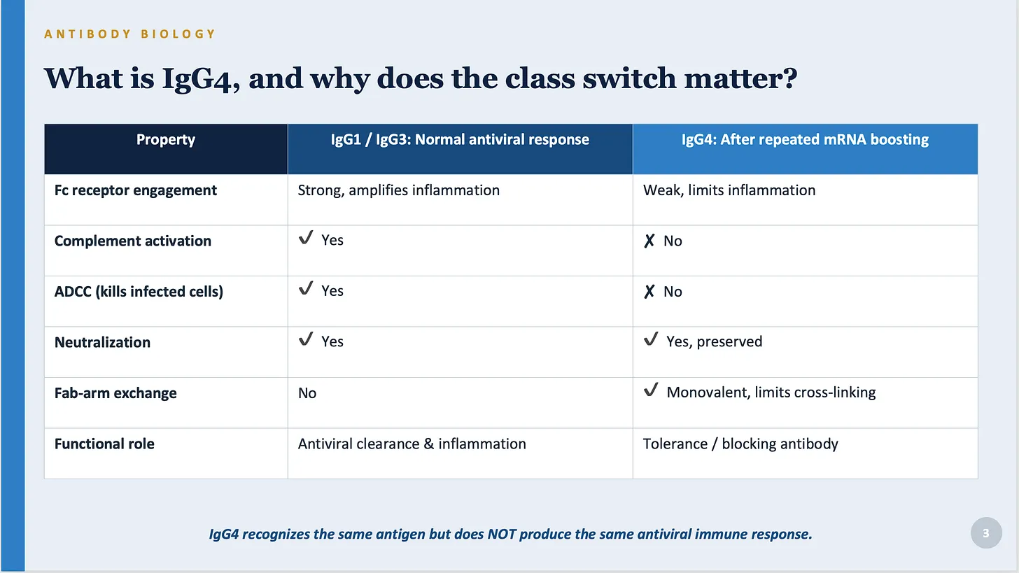Wie wirkt sich Ihre Corona-Auffrischungsimpfung auf Ihr Immunsystem aus?