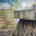 #16 On Being Moved 🧡