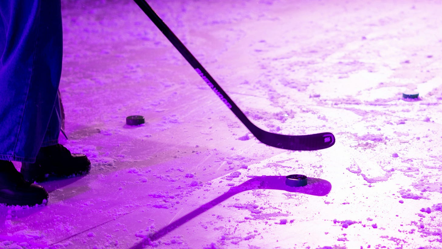 the inevitable revenue hockey stick... Photo by Alina Belogolova  on Unsplash