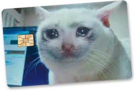 Crying Cat Meme Credit Card Skin - 4Pcs ...