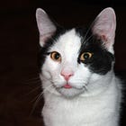 RFK Jr.'s Medical Misery Tour