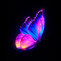 FeelPeace tarot's avatar