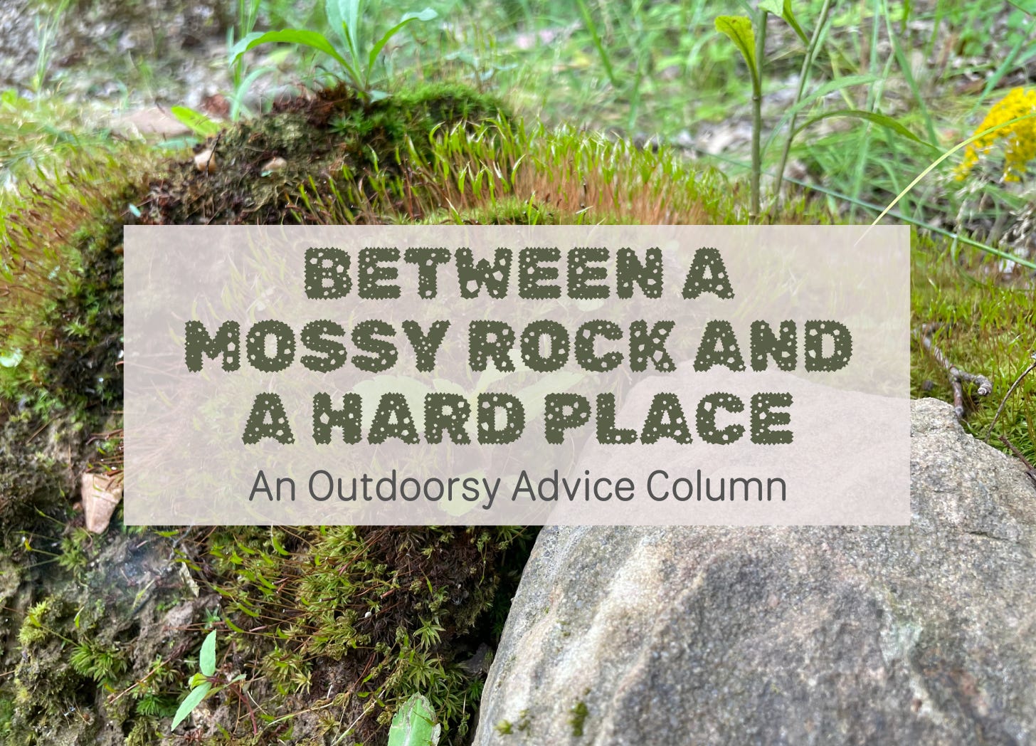 Between A Mossy Rock & A Hard Place: An Outdoorsy Advice Column