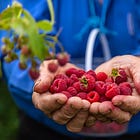 Celebrating Generosity: A Ministry Approach to Nonprofit Fundraising