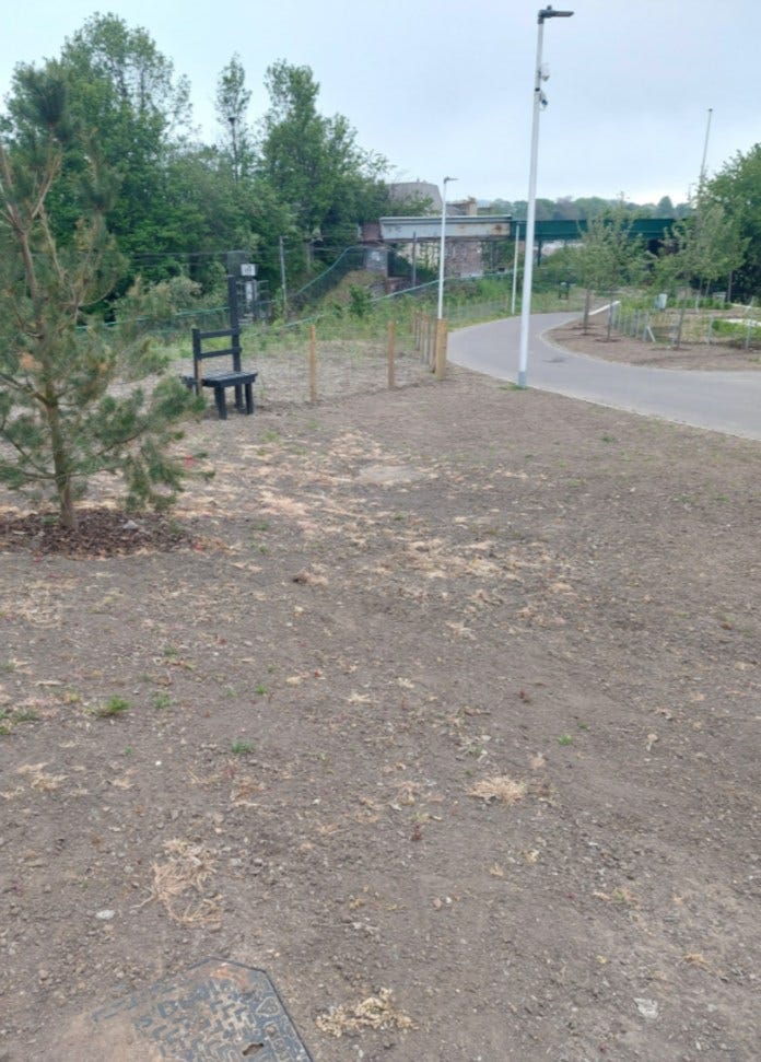 Dalry community park. The image shows soil on the ground, a few shrubs, and some trees in the background.