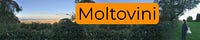 Moltovini 