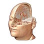 Marcus Foster's avatar