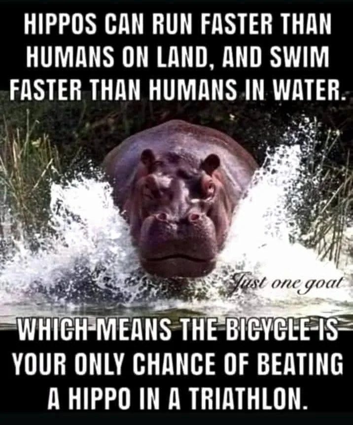 May be a meme of swimming and text that says 'HIPPOS CAN RUN FASTER THAN HUMANS ON LAND, AND SWIM FASTER THAN HUMANS IN WATER. Just one onegoat goat WHICH WHICH-MEANS MEANS THE BICYCLE-IS YOUR ONLY CHANCE OF BEATING A A HIPPO IN A TRIATHLON.'