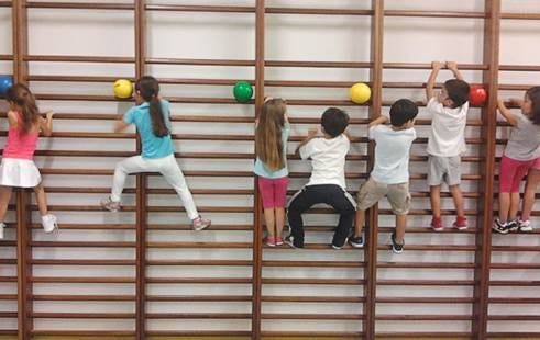 Escolas do 1.º Ciclo vão ter professor de Educação Física