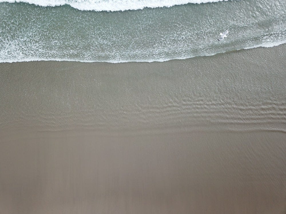 sea shore during daytime