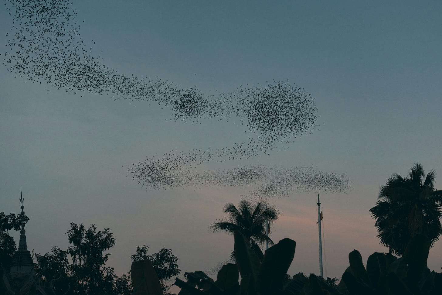 A flock of birds shifting in formation against a stormy sky, symbolizing coordinated autonomous agents. A flock of birds shifting in formation against a stormy sky, symbolizing coordinated autonomous agents.