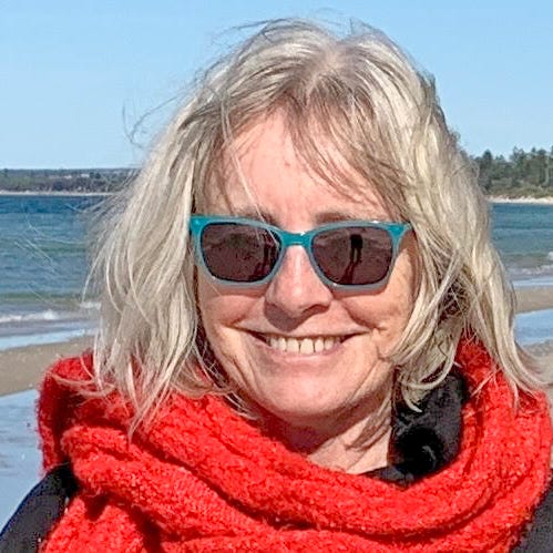 Virtual Teacher Newsletter