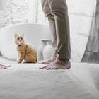 Zombie theory: Women file for divorce because men are horrible