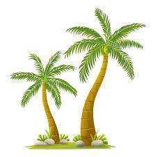 Tropical coconut trees illustration in ...