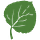Climate Corner