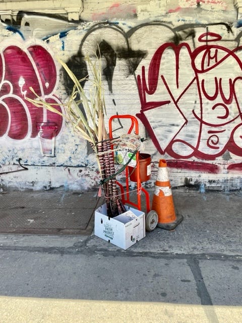 bamboo delivery on Eldridge Street