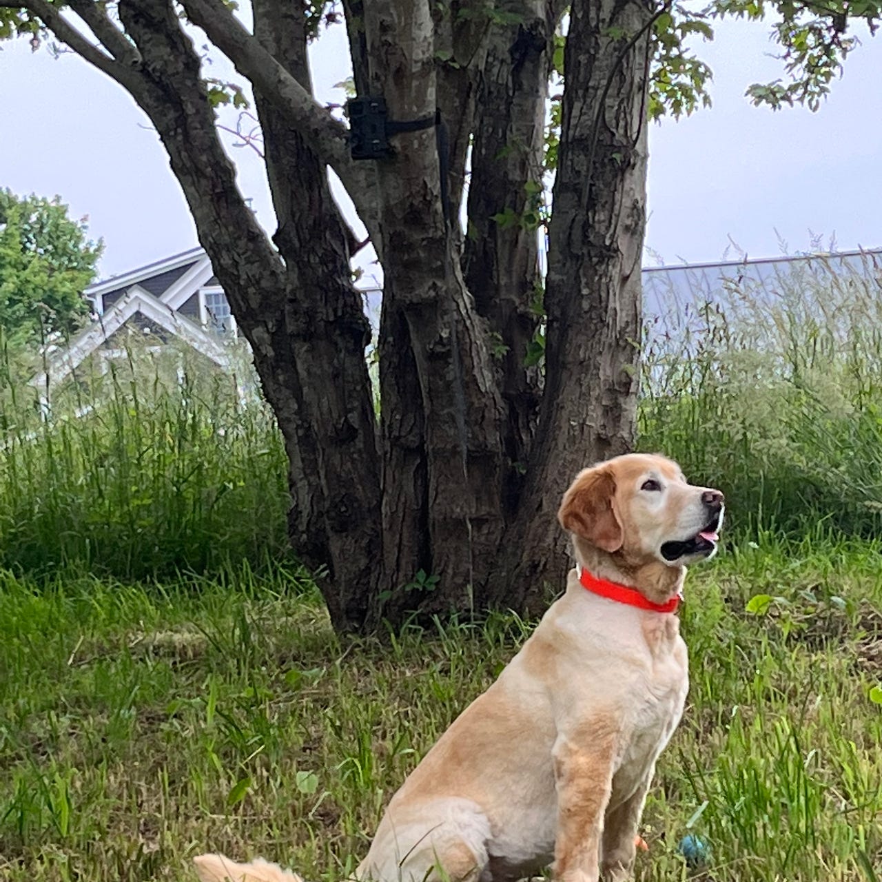 Questions from an American Journalist