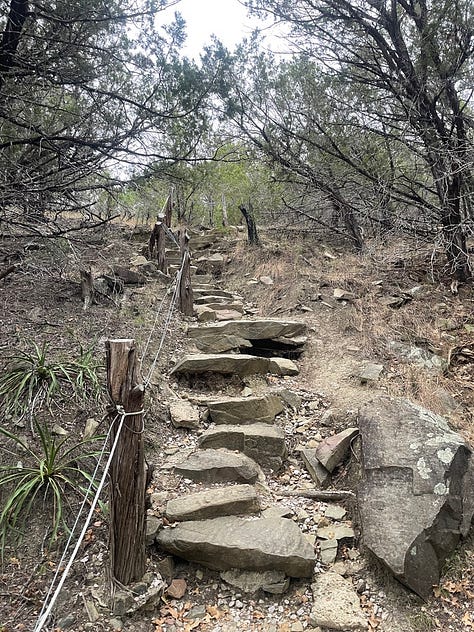 A photo of one of the friendly donkeys I met on my walk. The trail photos show the scriptures posted on the trees and the challenging steps that give me a great workout.