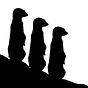 Meerkat Agenda LLC's avatar