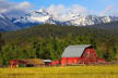 Big Sky Market Analysis