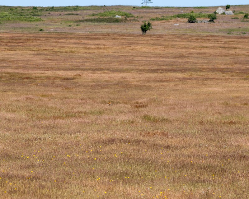 20250610-SJI3-197-Edit 2.jpg