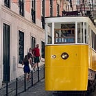 The Tragedy and the Glory of Life on Earth