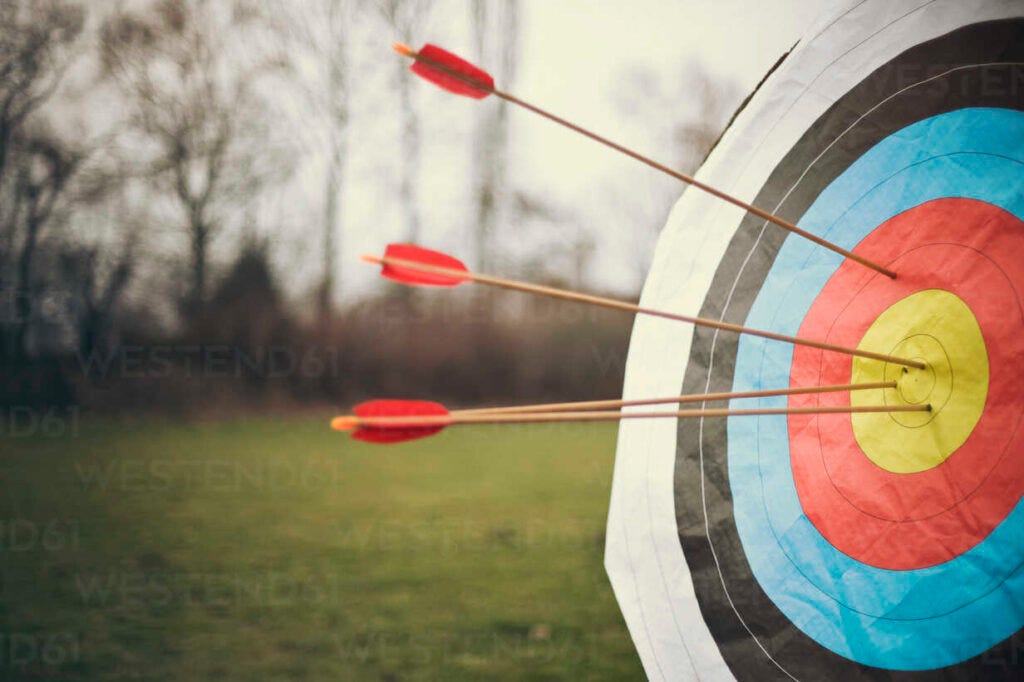 An Afternoon Picnic With Birds Of Prey - Saturday 7th June 2025 ...