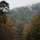 The Pulse of Autumn: Bartram Trail Day 1