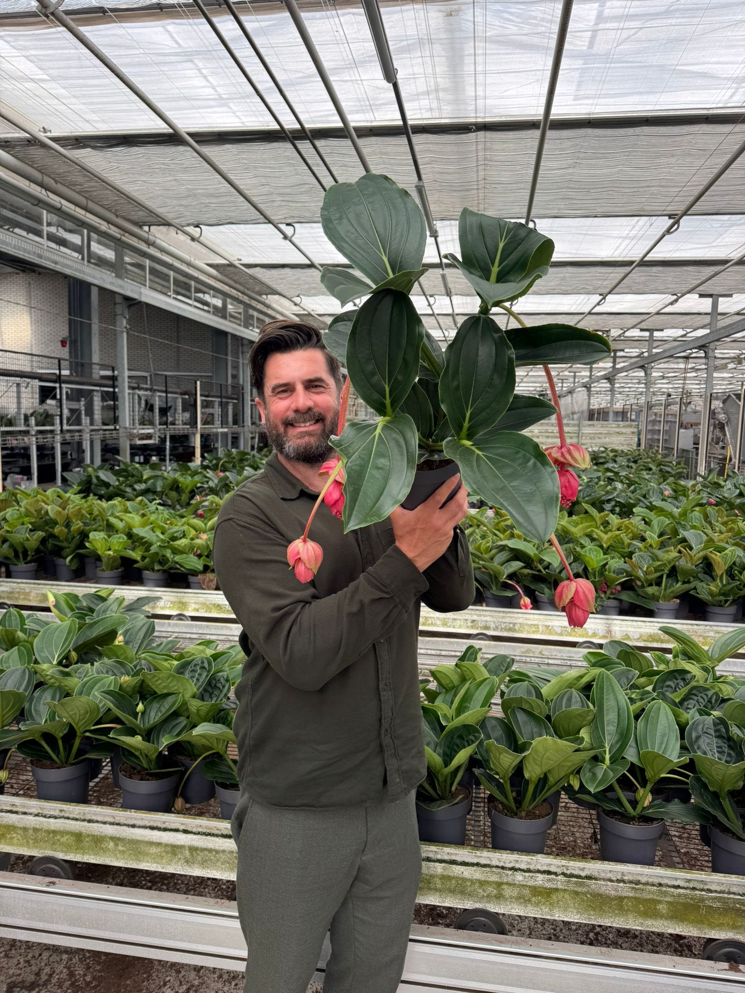 Welcome to Laguna Plants - by Mr Plant Geek
