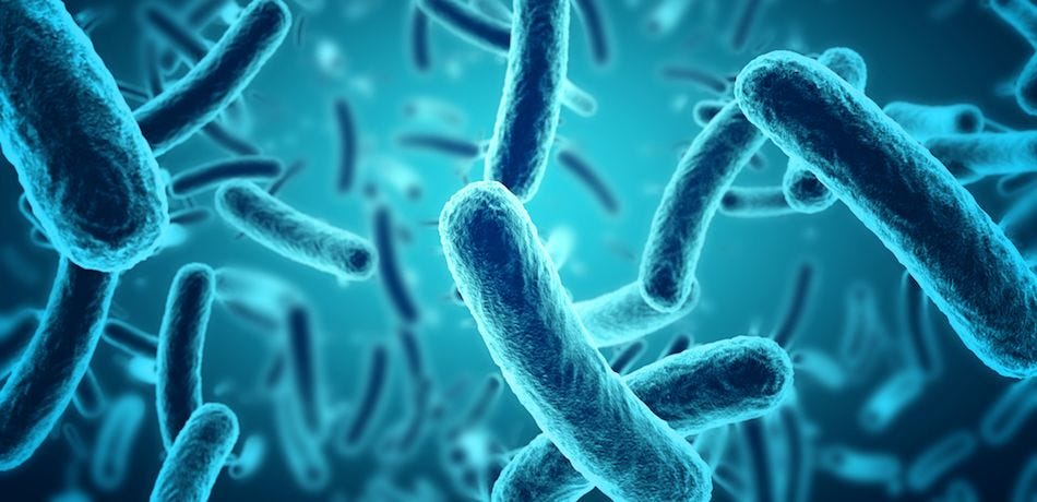 Disease-X-Update-A-Danger-to-the-Human-Kind Disease-X-Update-A-Danger-to-the-Human-Kind