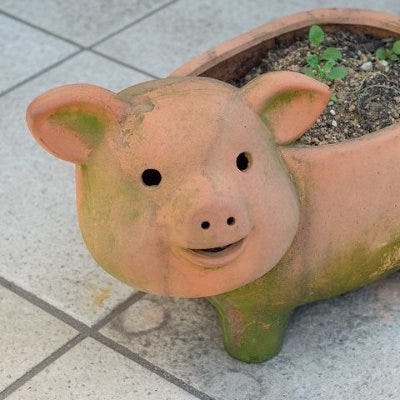 Substack profile picture for @thrash