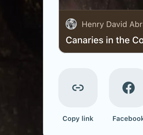 Substack Sharing Icon How to Share Substack Articles: A Simple Guide