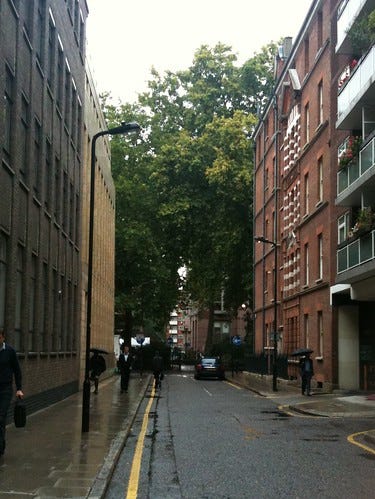 Trees at the end of the street Trees at the end of the street
