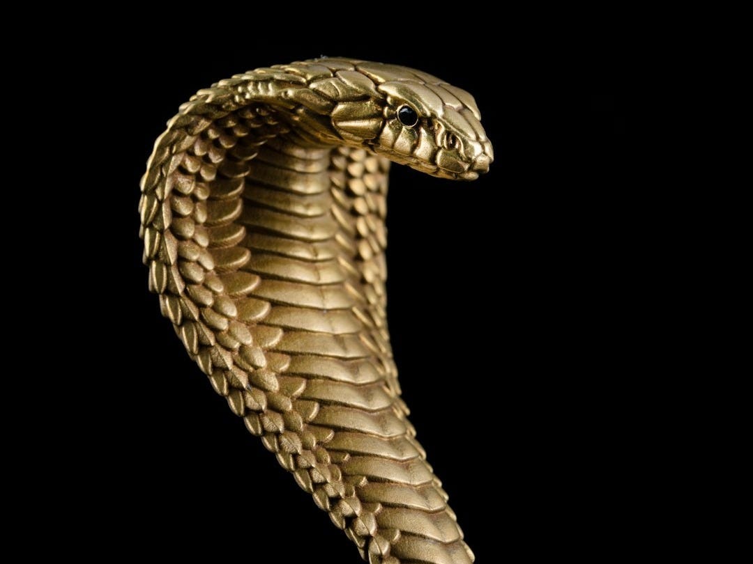 a snake with a black background