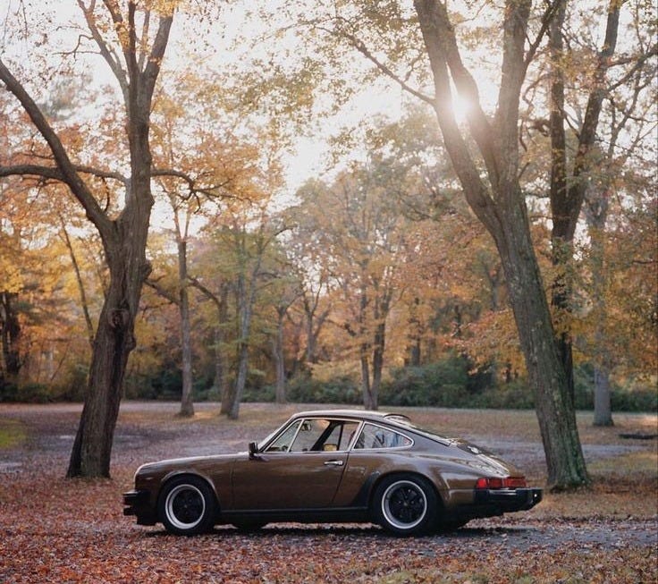 This may contain: a brown car parked in the middle of a park with trees and leaves all around