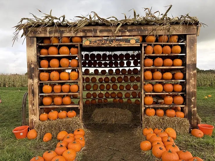The Pumpkin House on The 110 Farm.