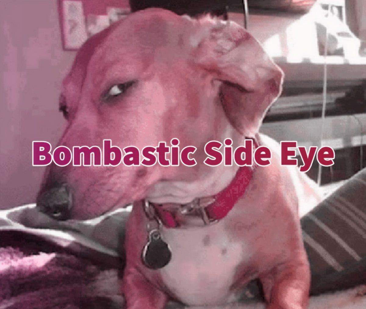 Word of the Day: BOMBASTIC - by Mike Bergin - Roots2Words