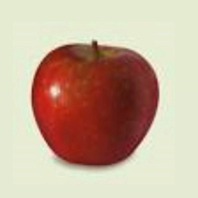 Kathy logo