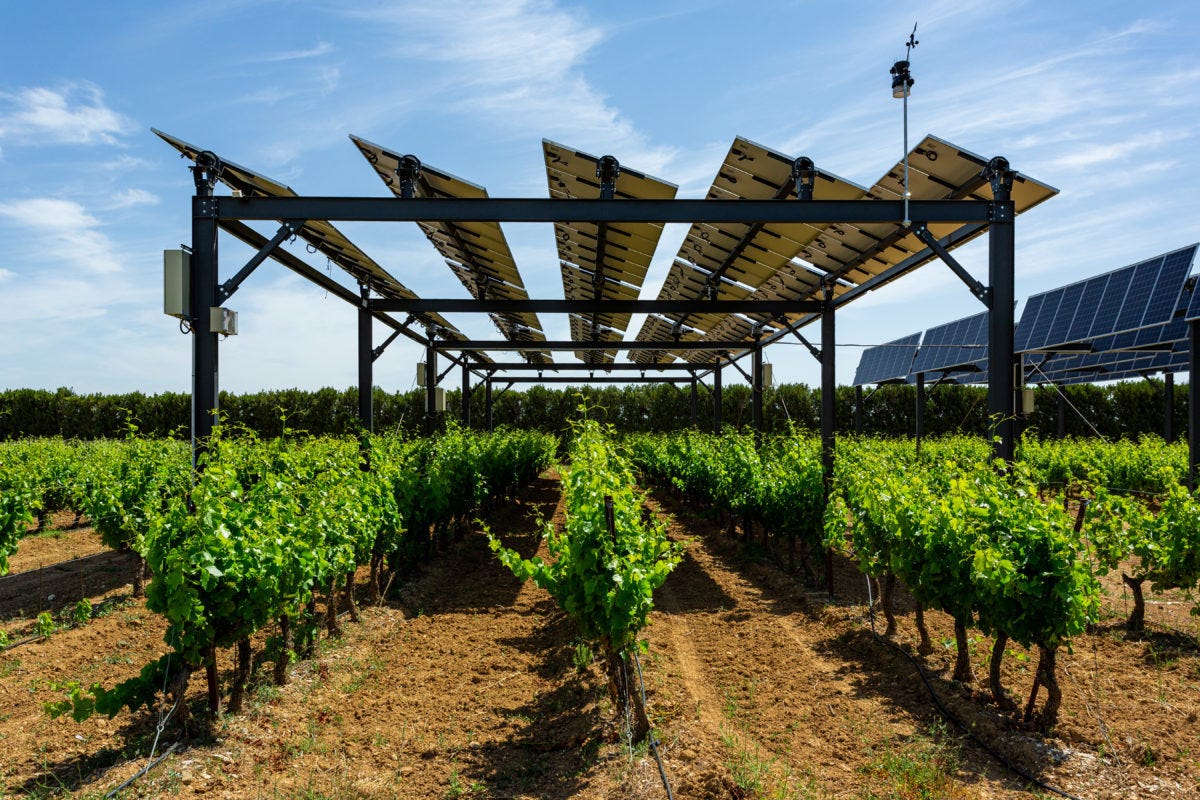 https://16iwyl195vvfgoqu3136p2ly-wpengine.netdna-ssl.com/wp-content/uploads/2020/03/Photo_Piolenc_juin2019_vignes_creditphoto-SunR-21-1200x800-1200x800.jpg