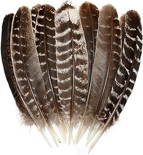 A group of brown feathers
AI-generated content may be incorrect. A group of brown feathers
AI-generated content may be incorrect.