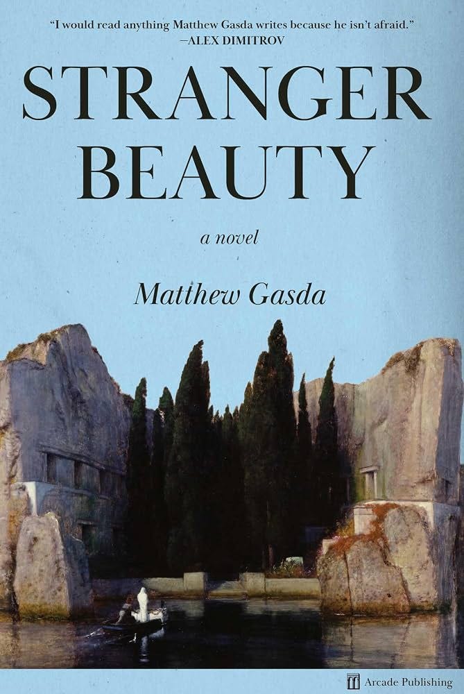 Stranger Beauty: A Novel: Gasda, Matthew: 9781648211744: Amazon.com: Books