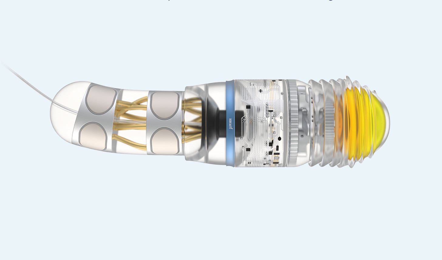 April 2025: Robeauté's Brain Microrobot