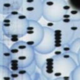 Thumbnail of DNA art Thumbnail of DNA art